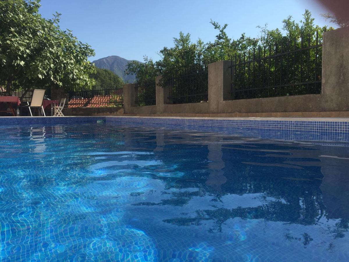 Kamenari New Summer Holiday المظهر الخارجي الصورة